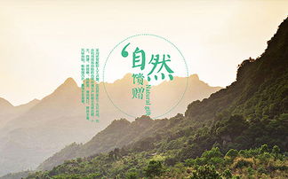 企業(yè)官網(wǎng) 南隼互動(dòng)丨clh 深圳網(wǎng)站設(shè)計(jì)及建設(shè)公司 為企業(yè)提供數(shù)字化品牌和產(chǎn)品營(yíng)銷解決方案