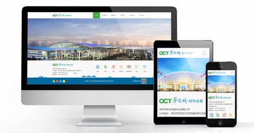 政府 網站建設 深圳天絡公司