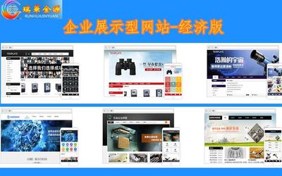 沙井網站制作服務 、沙井網站建設多少錢 - 深圳市瑞華金源科技